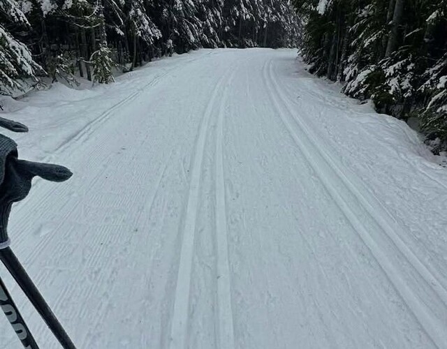 50% sur l'abonnement annuel de ski pour les résidents de Saint-bruno